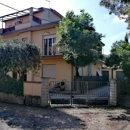 Il Merlo 比萨 外观 照片