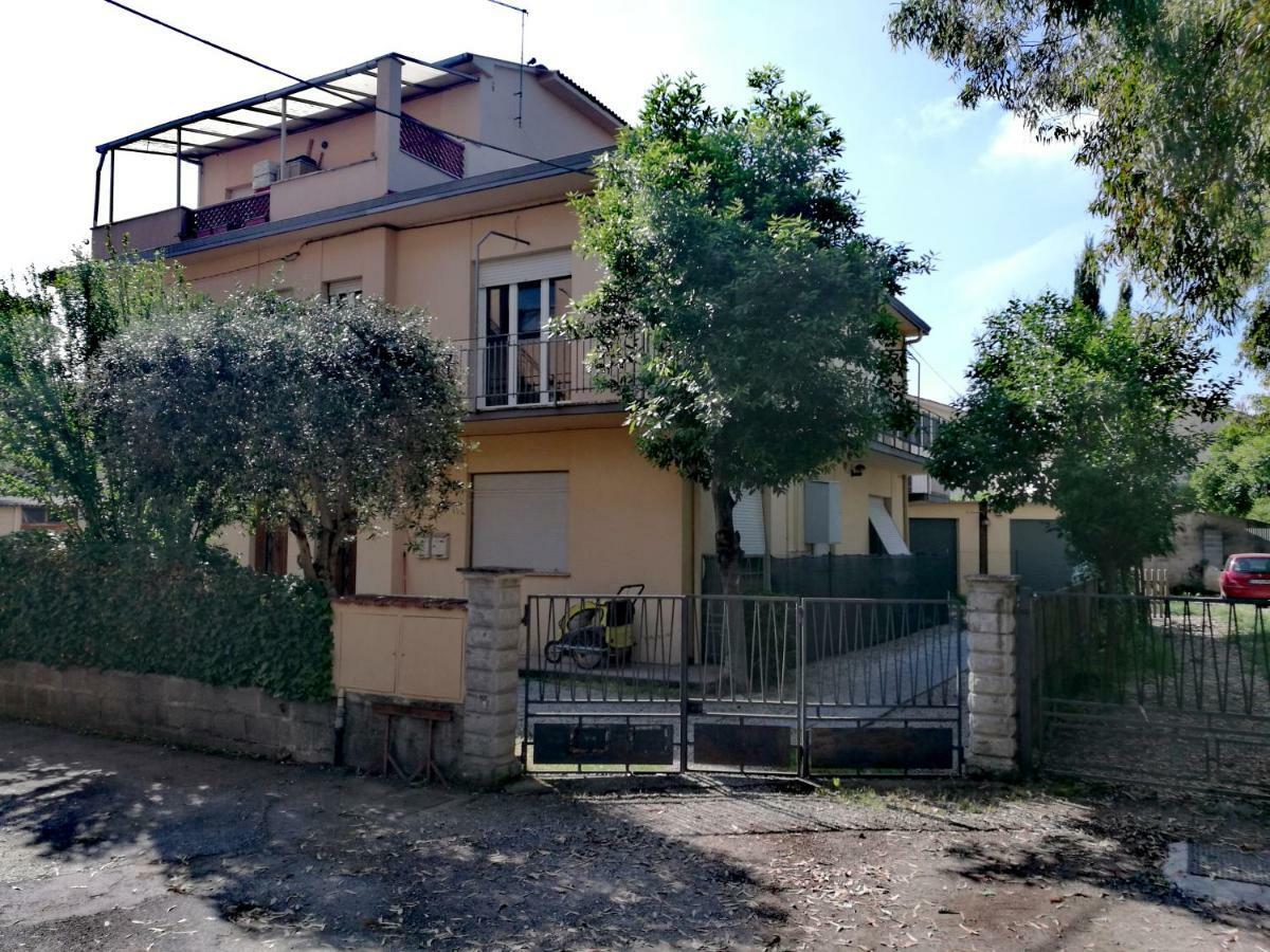 Il Merlo 比萨 外观 照片